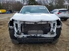 2024 Chevrolet Colorado Белый vin: 1GCPTBEK6R1128701
