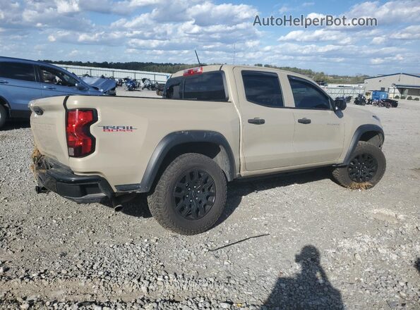 1GCPTEEK2P1146580 2023 CHEVROLET COLORADO Tan უკანა მარჯვენა