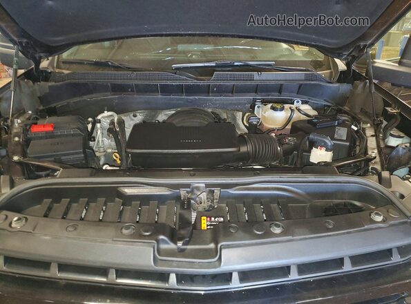 1GCPYFED2MZ201146 2021 CHEVROLET SILVERADO Коричневый Вид задней части салона