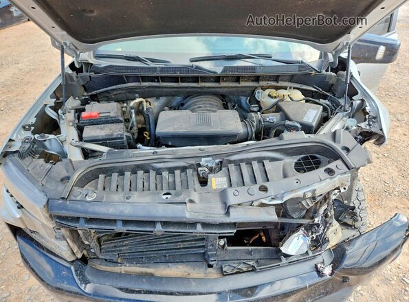 1GCPYFED3KZ120797 2019 CHEVROLET SILVERADO Серебряный Вид задней части салона