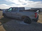 2020 Chevrolet Silverado K1500 Lt Trail Boss Серый vin: 1GCPYFEDXLZ182909