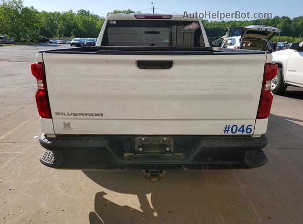 1GCUDAED6PZ203052 2023 CHEVROLET SILVERADO White უკანა ხედი