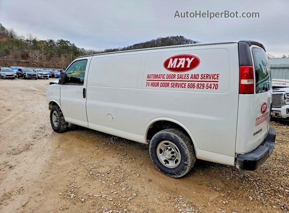 1GCWGAFG3H1112359 2017 CHEVROLET EXPRESS Белый Задняя левая четверть