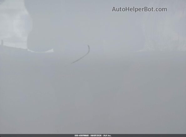 1GCWGAFG3H1261161 2017 CHEVROLET EXPRESS Белый 