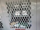 2024 Chevy Express G2500 Cargo * R&d * Pri Fleet * White vin: 1GCWGAFPXR1217207