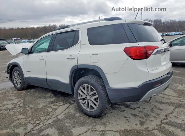 1GKKNSLS1HZ264875 2017 GMC ACADIA White Tył lewy