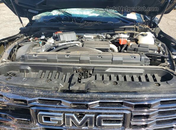 1GT4UXEY7SF326004 2025 GMC SIERRA Черный Вид задней части салона