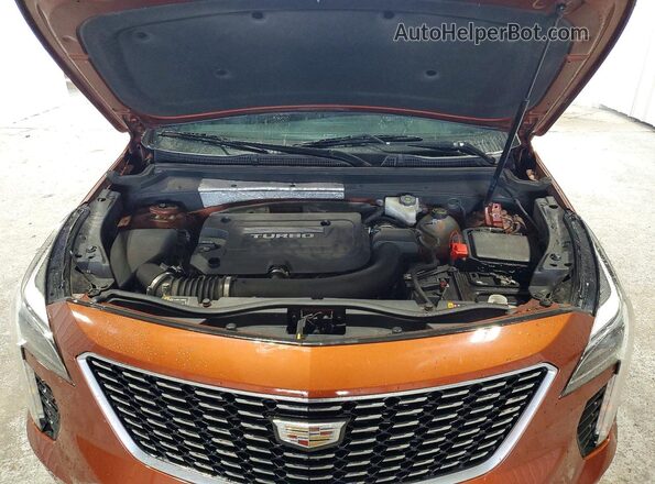 1GYFZCR4XKF228203 2019 CADILLAC XT4 Оранжевый Вид задней части салона