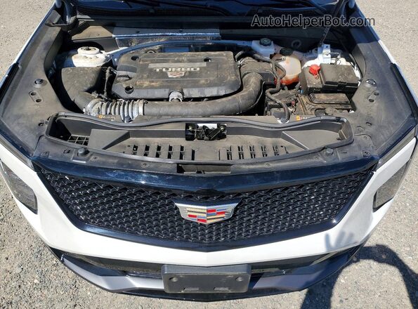 1GYFZFR43RF181172 2024 CADILLAC XT4 Белый Вид задней части салона