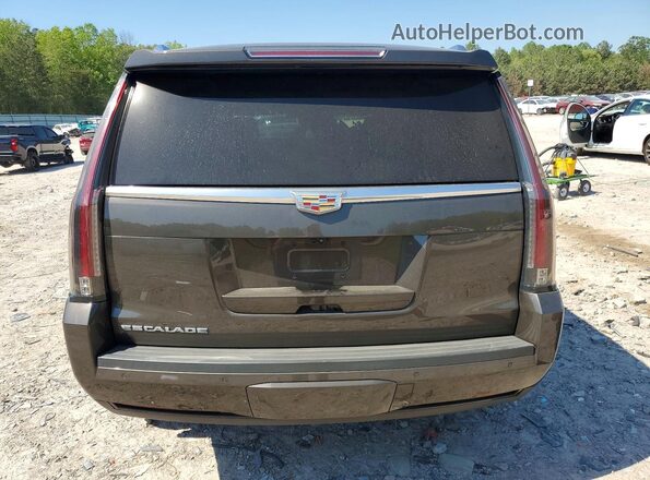 1GYS4BKJ3LR140343 2020 CADILLAC ESCALADE Brown Rear view