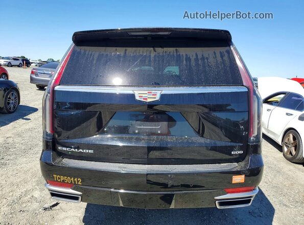 1GYS4BKL3PR346060 2023 CADILLAC ESCALADE Черный Вид сзади