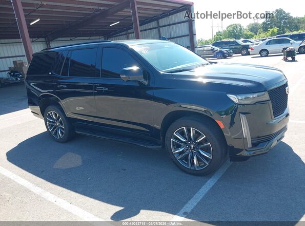 1GYS4EKL3PR444748 2023 CADILLAC ESCALADE Черный Вид задней части салона