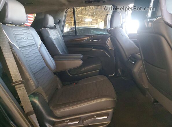 1GYS4GKL0PR271105 2023 CADILLAC ESCALADE Черный Вид задней части салона