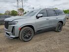 2023 Cadillac Escalade Gray vin: 1GYS4HK94PR421369