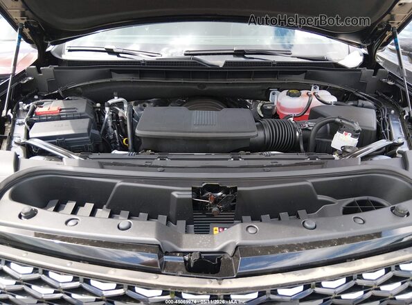 1GYS9BKL0TR314551 2026 CADILLAC ESCALADE Черный Вид сзади