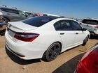 2017 Honda Accord Sport Special Edition Белый vin: 1HGCR2F13HA018983