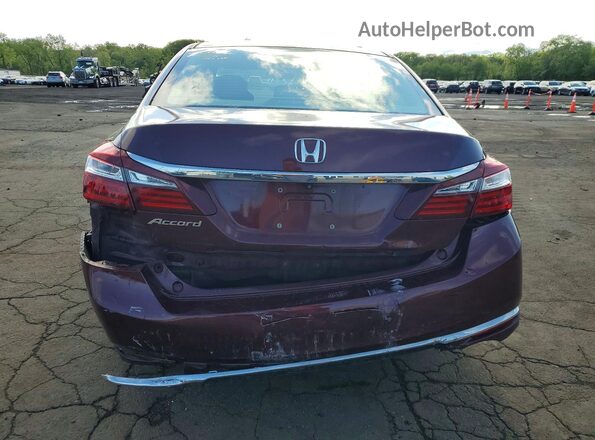 1HGCR2F31HA030759 2017 HONDA ACCORD Бордовый Вид сзади