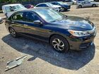 2017 Honda Accord Lx Черный vin: 1HGCR2F35HA181927
