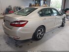 2016 Honda Accord Lx Бежевый vin: 1HGCR2F36GA181532