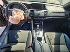 2017 Honda Accord Sport Черный vin: 1HGCR2F54HA132011