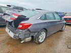 2019 Honda Accord Lx Gray vin: 1HGCV1F16KA006016