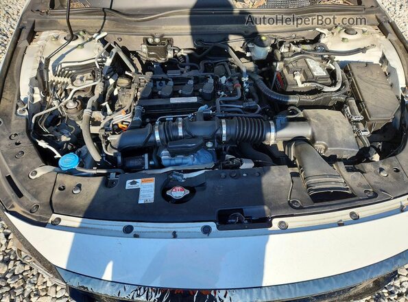 1HGCV1F35KA160699 2019 HONDA ACCORD Белый Вид задней части салона