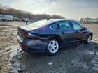 2025 Honda Accord Lx Синий vin: 1HGCY1F20SA091872