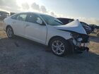 2025 Honda Accord Lx White vin: 1HGCY1F22SA023430