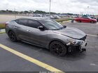 2016 Nissan Maxima 3.5 Platinum Gray vin: 1N4AA6AP0GC403894