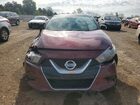 2017 Nissan Maxima Platinum Red vin: 1N4AA6AP0HC437268