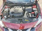 2017 Nissan Maxima Platinum Red vin: 1N4AA6AP0HC437268