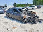 2016 Nissan Maxima Platinum Charcoal vin: 1N4AA6AP1GC378309