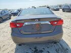 2016 Nissan Maxima Platinum Charcoal vin: 1N4AA6AP1GC378309