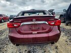 2016 Nissan Maxima Platinum Burgundy vin: 1N4AA6AP1GC419439