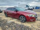 2016 Nissan Maxima Platinum Burgundy vin: 1N4AA6AP1GC419439