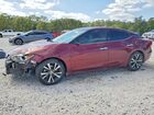 2016 Nissan Maxima 3.5 Sv Красный vin: 1N4AA6AP1GC447662