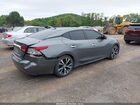 2017 Nissan Maxima 3.5 Platinum Серый vin: 1N4AA6AP1HC408362