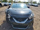 2017 Nissan Maxima Platinum Черный vin: 1N4AA6AP1HC430314