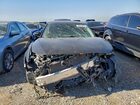2017 Niss Maxima Black vin: 1N4AA6AP2HC433013