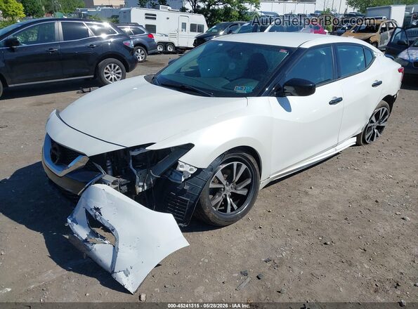 1N4AA6AP2HC449731 2017 NISSAN MAXIMA White Przód lewy