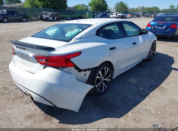 1N4AA6AP2HC449731 2017 NISSAN MAXIMA White Tył prawy