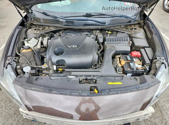 1N4AA6AP3GC383673 2016 NISSAN MAXIMA Brown Вид задньої частини салону