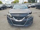 2017 Nissan Maxima Platinum Gray vin: 1N4AA6AP3HC369824