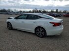 2016 Nissan Maxima Platinum White vin: 1N4AA6AP4GC376358