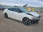 2016 Nissan Maxima Platinum White vin: 1N4AA6AP4GC376358