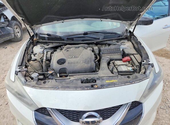 1N4AA6AP4GC380717 2016 NISSAN MAXIMA White Widok wnętrza z tyłu