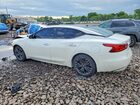 2016 Nissan Maxima Platinum Белый vin: 1N4AA6AP4GC393175