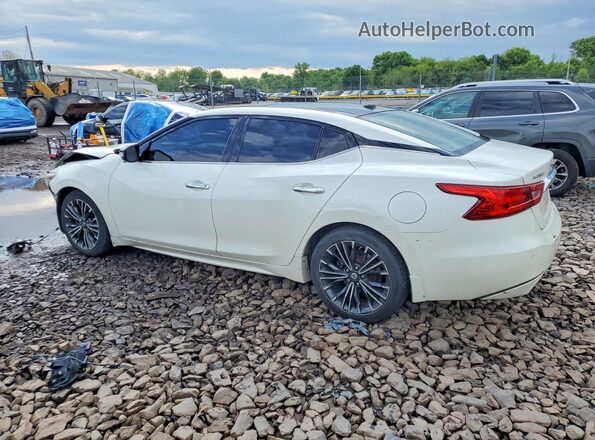 1N4AA6AP4GC393175 2016 NISSAN MAXIMA Белый Задняя левая четверть