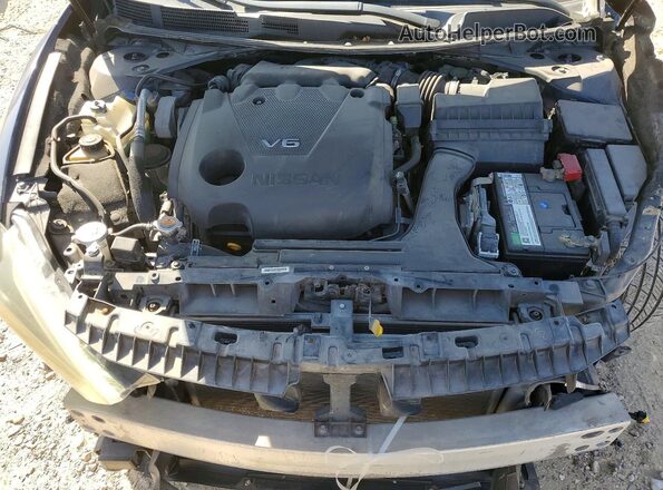 1N4AA6AP4HC370321 2017 NISSAN MAXIMA PLATINUM Синий Вид задней части салона
