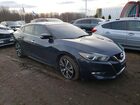 2017 Niss Maxima Platinum Blue vin: 1N4AA6AP4HC384199